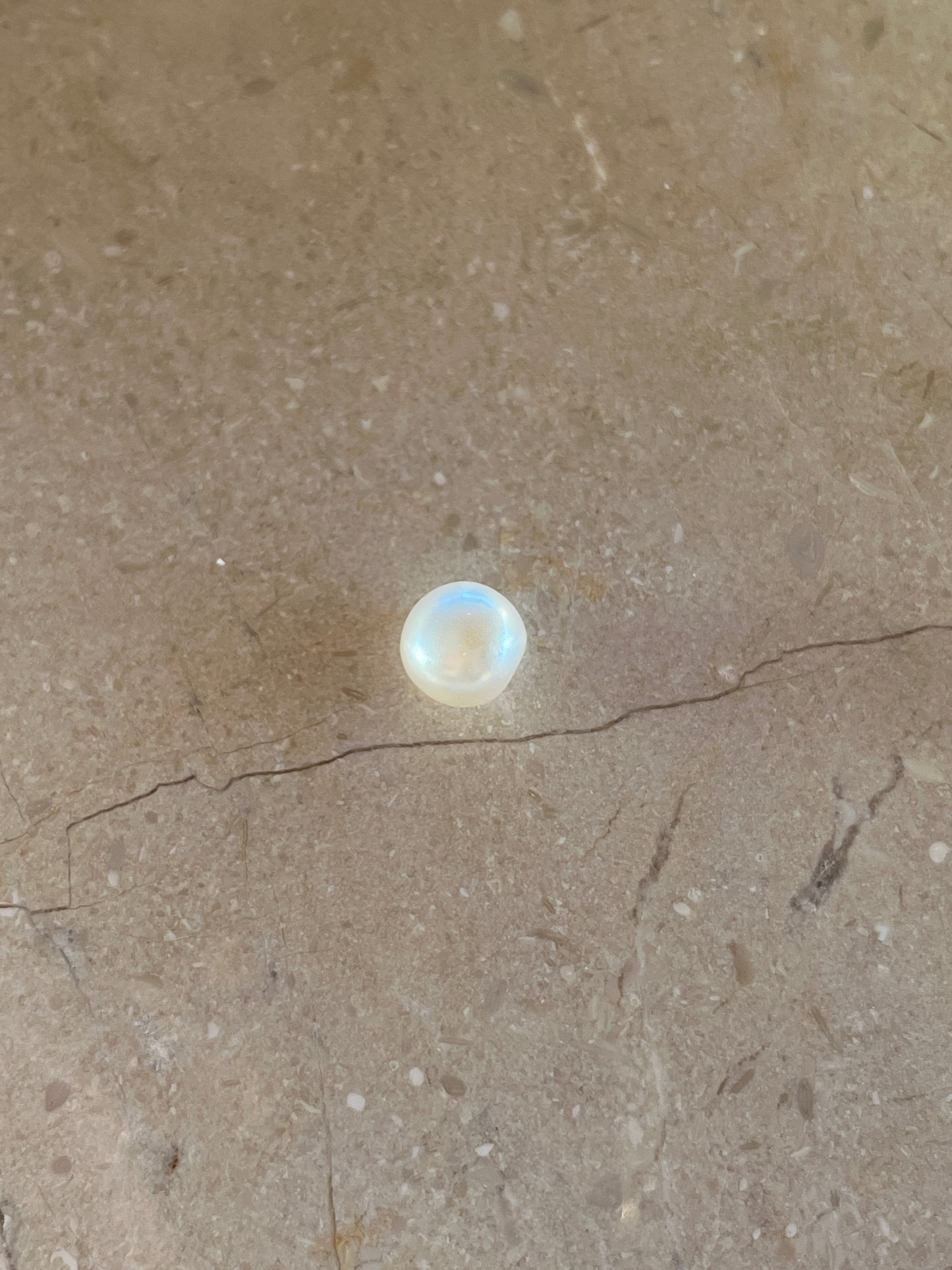 Bella Button