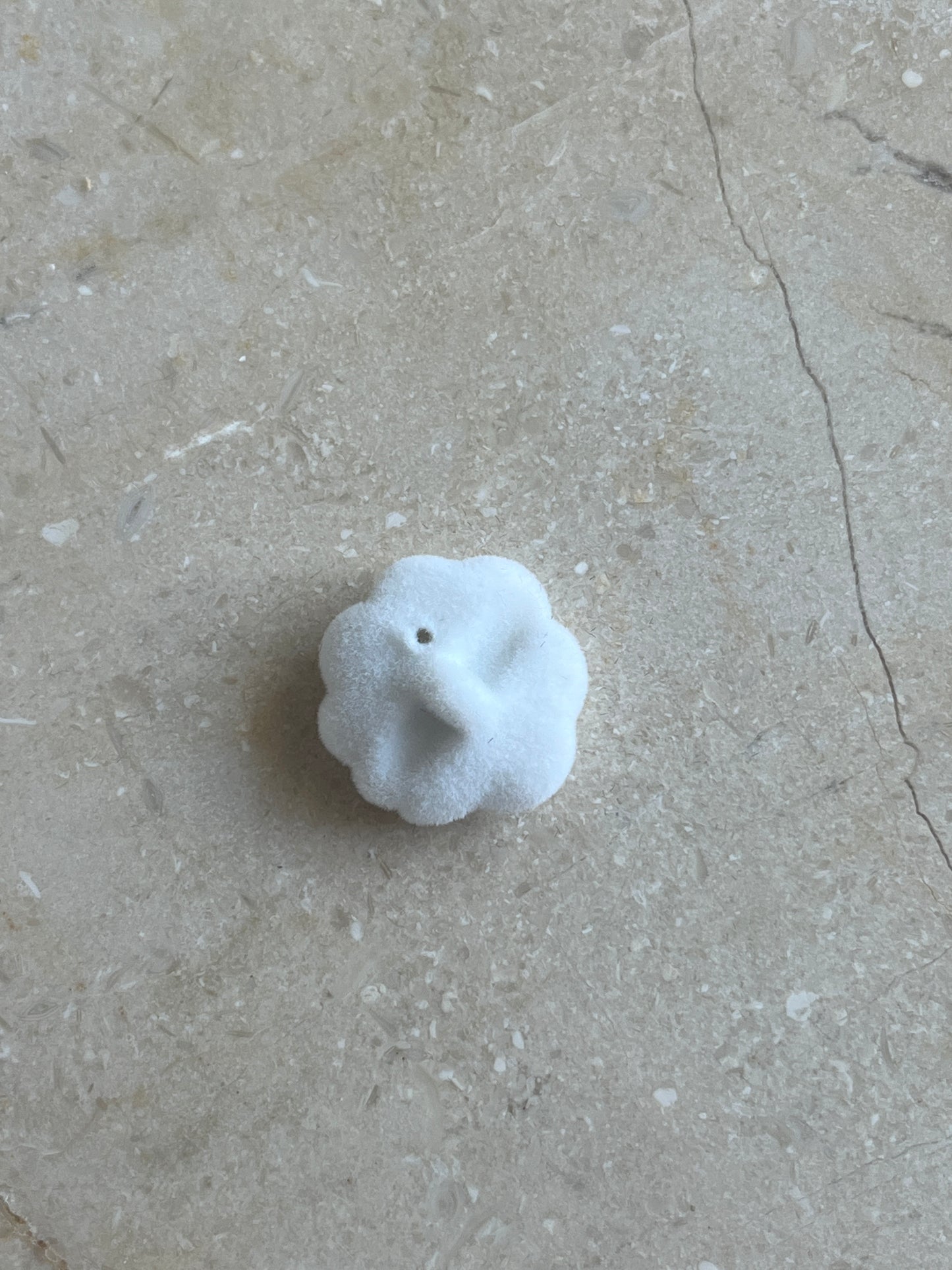 Winter rose button white