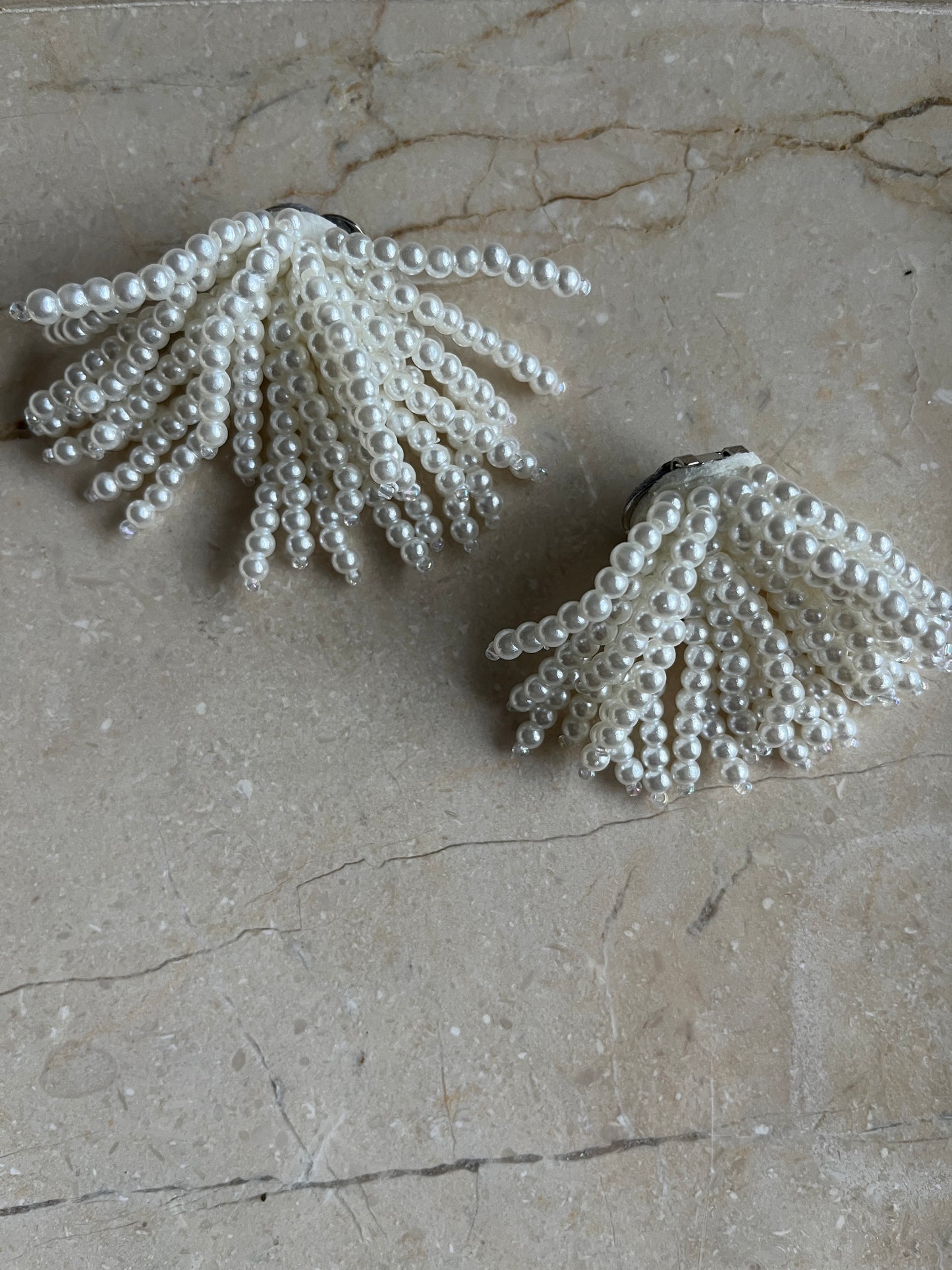Snow Shoe Buckles