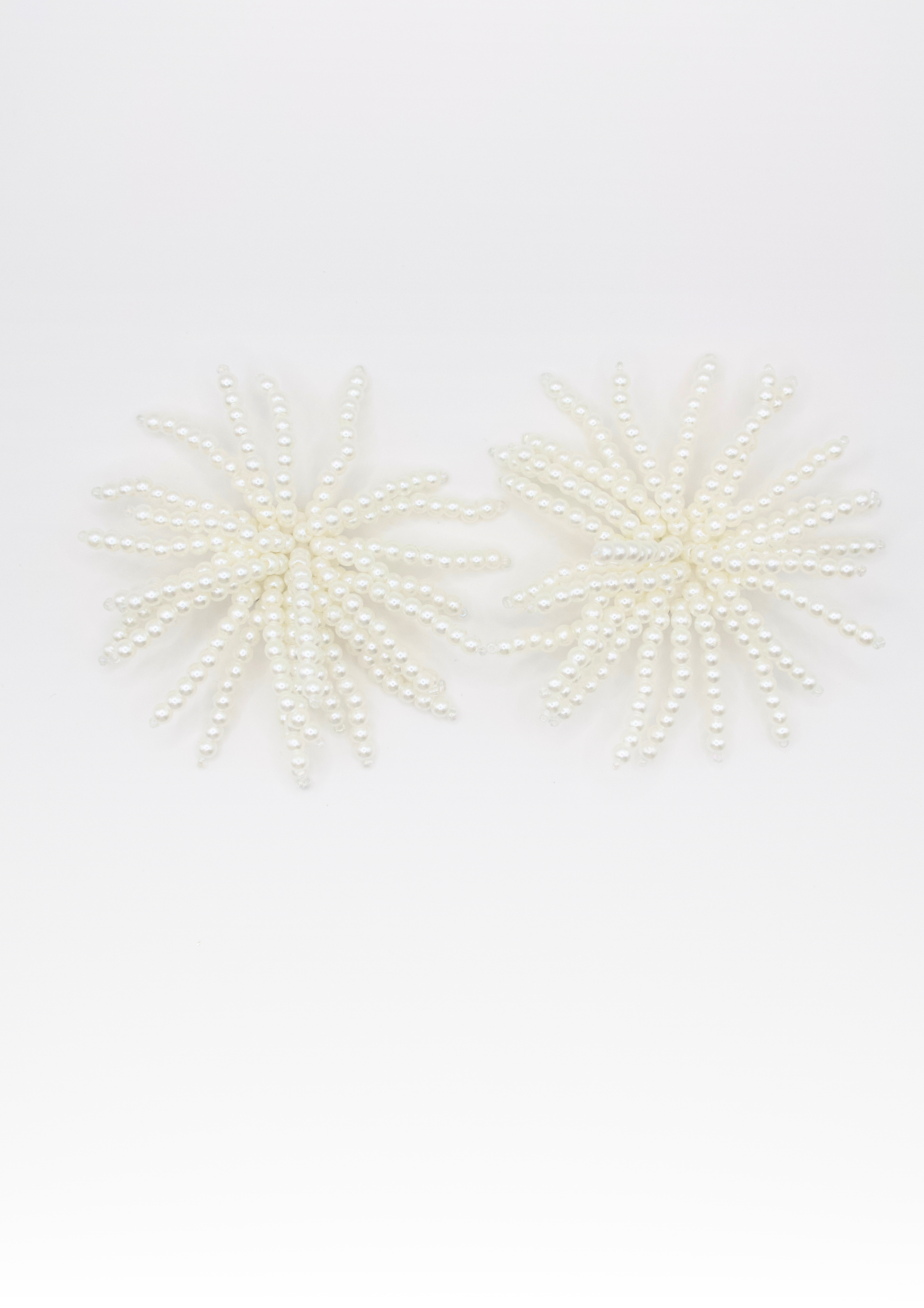 Snow Shoe Buckles
