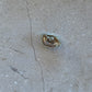 Bay button silver