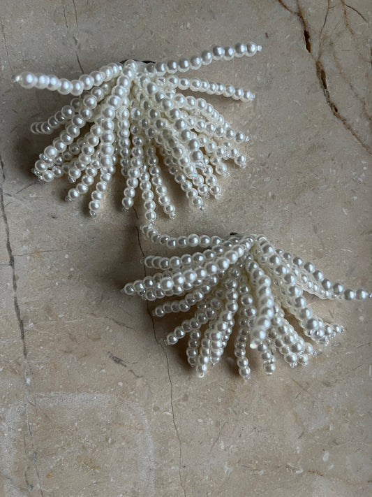 Snow Shoe Buckles
